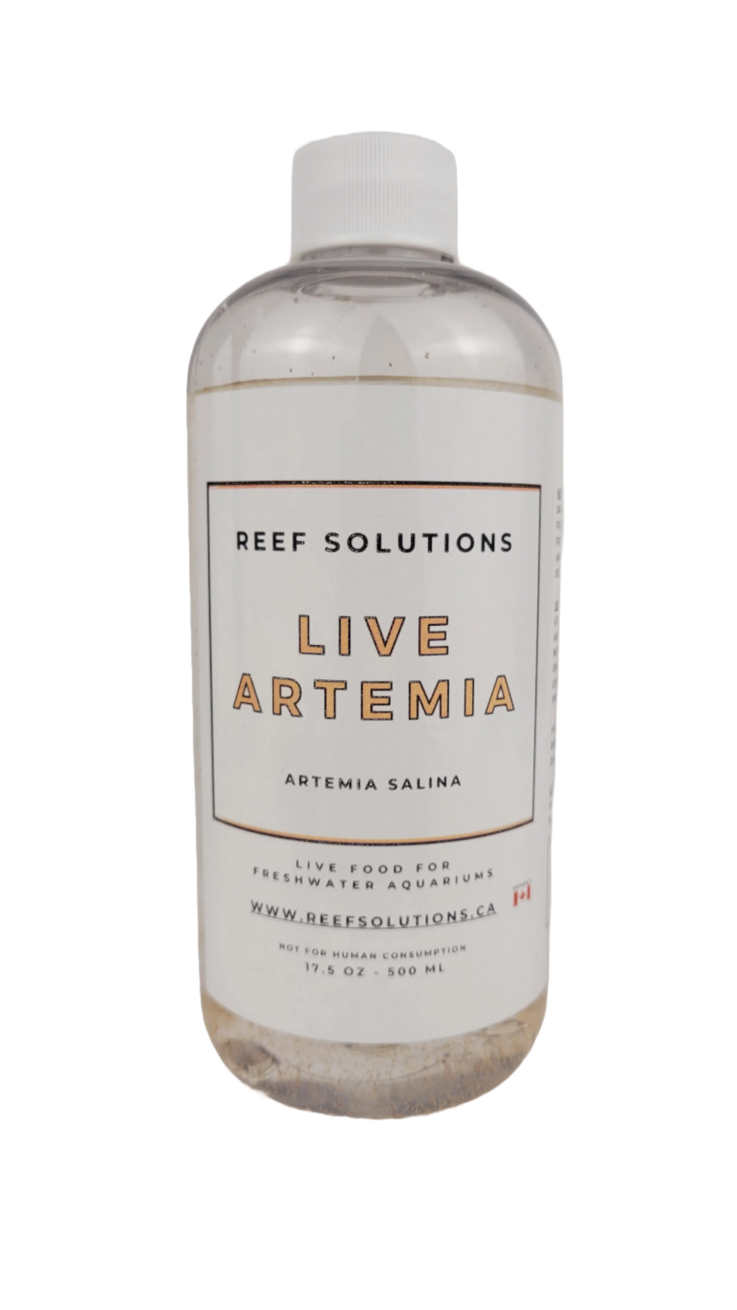 Live Artemia Baby Brine Shrimp - 500 ml