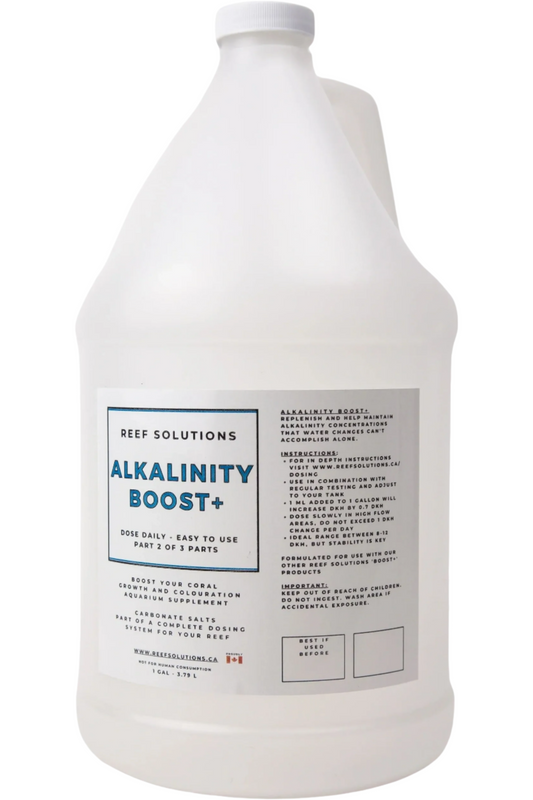 Alkalinity Boost+ Alkalinity Buffer - 3.79 L / 1 Gallon