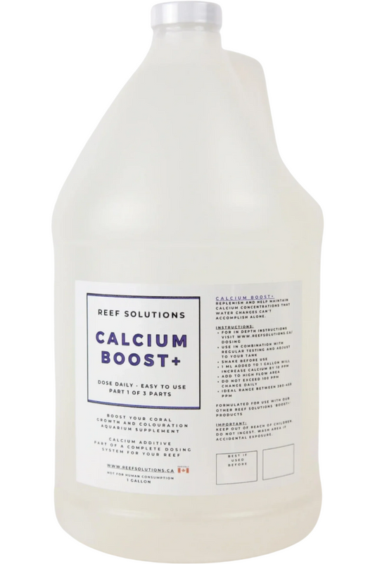 Calcium Boost+ Calcium Supplement - 3.79 L / 1 Gallon