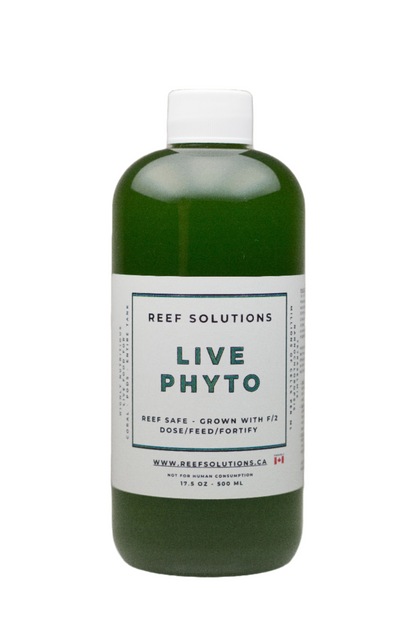 Live Phytoplankton - 500 ml