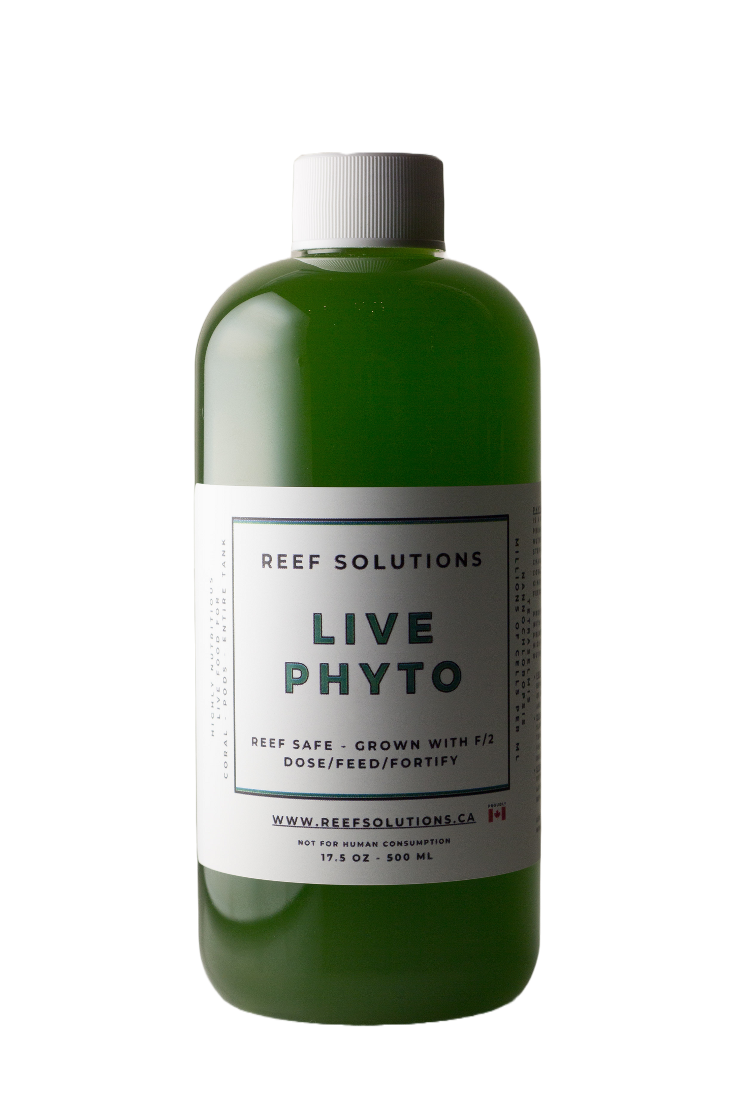 Live Phytoplankton - 500 ml