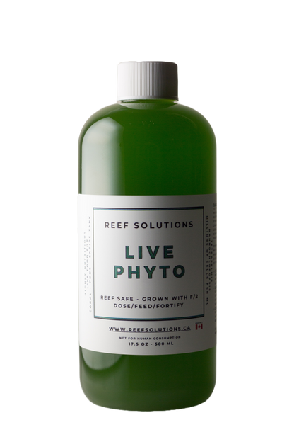 Live Phytoplankton - 500 ml