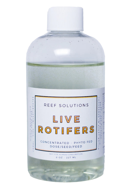 Live Rotifers - Zooplankton - 250 ml