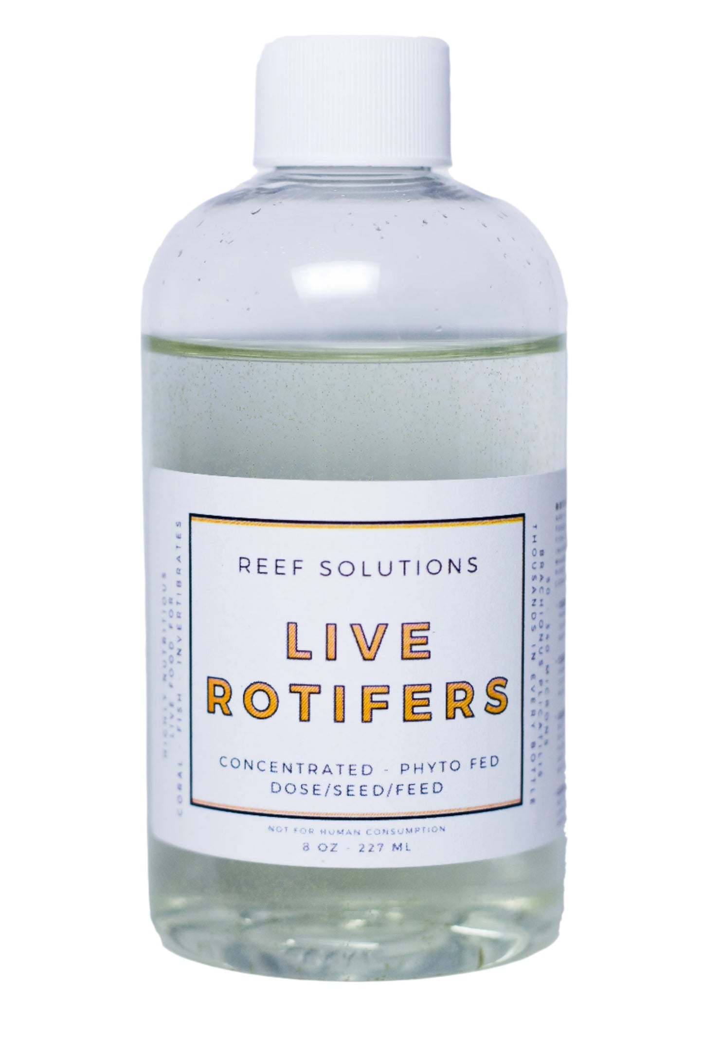 Live Rotifers - Zooplankton - 500 ml