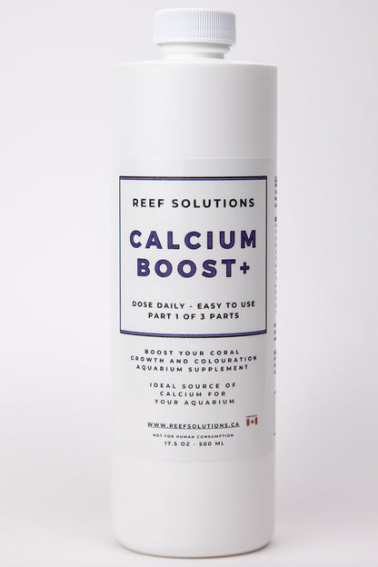 Calcium Boost+ Calcium Supplement - 500 ml