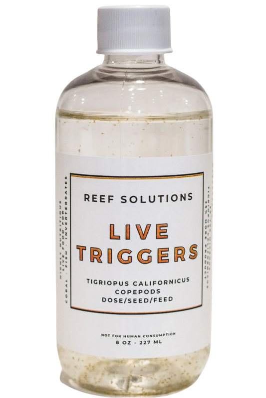 Live Triggers - Tigriopus Californicus Live Copepods - 250 ml