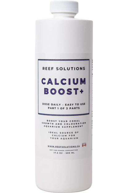 Calcium Boost+ Calcium Supplement - 500 ml