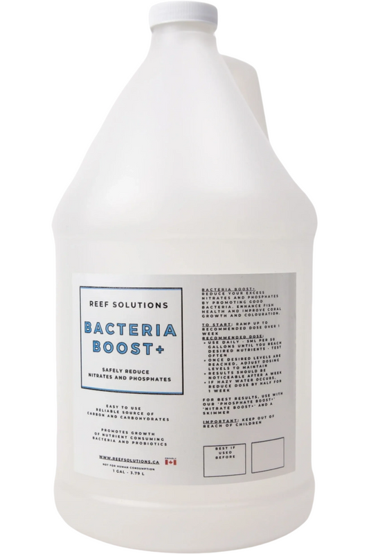 Bacteria Boost+ Biological Enhancer and Nutrient Control - 3.79 L / 1 Gallon