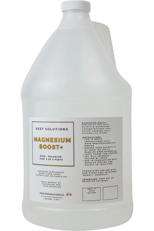 Magnesium Boost+ Magnesium Supplement - 3.79 L / 1 Gallon