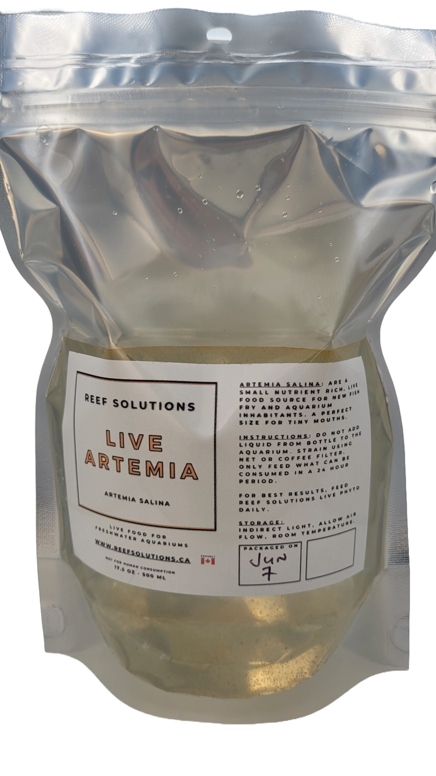 Live Artemia Baby Brine Shrimp - 500 ml